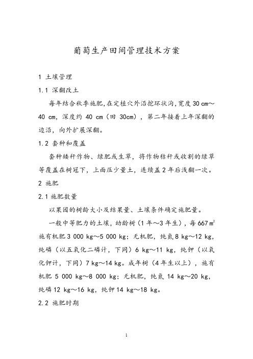 葡萄生产田间管理技术方案