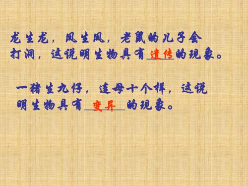 (新课标)高中生物 第5章第1节《基因突变和基因重组》名师优质课件13 新人教版必修2