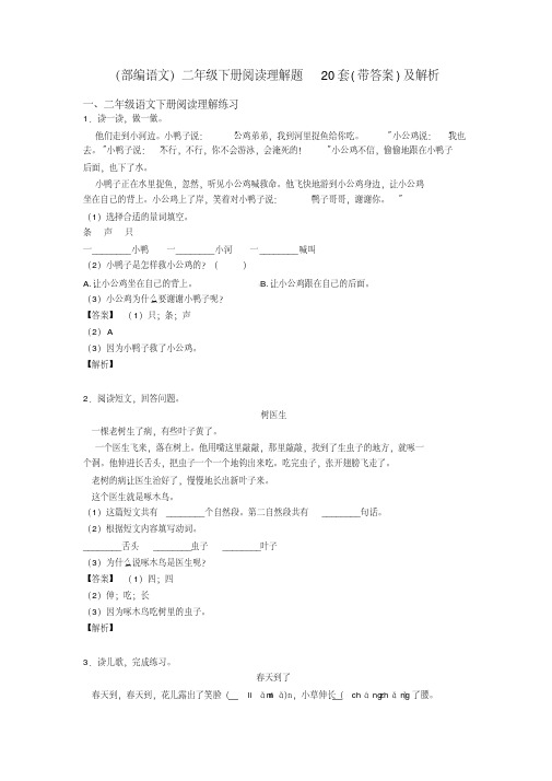 二年级(部编语文)二年级下册阅读理解题20套(带答案)及解析