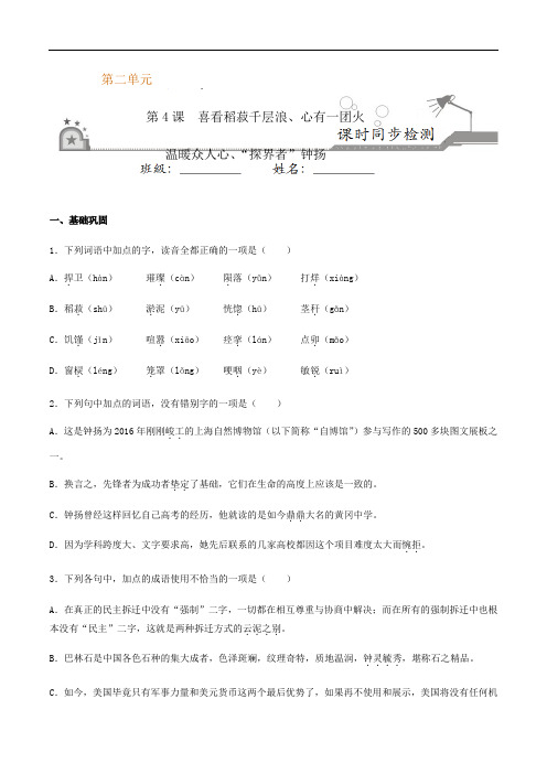 第4课 喜看稻菽千层浪、心有一团火,温暖众人心、“探界者”钟扬(原卷版)(选择性必修上册)