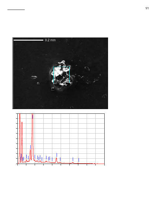 电泳颗粒EDX分析结果