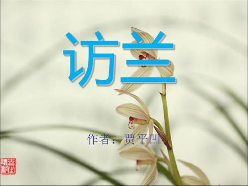 《访兰》PPT课件3