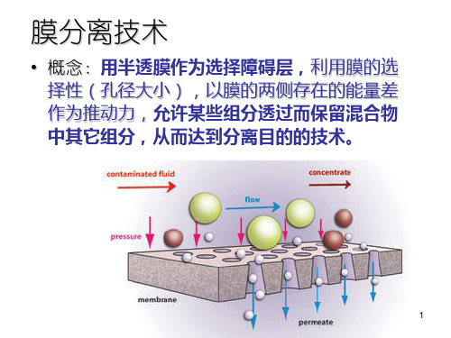 生物分离工程之膜分离过程