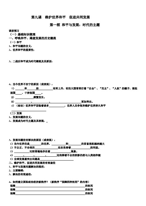 《政治生活》9.1学案