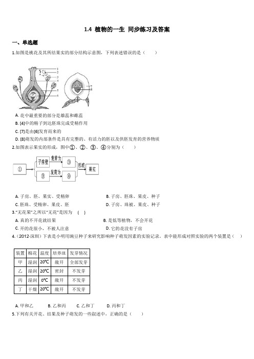 1.4 植物的一生 同步练习及答案