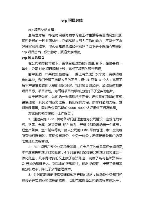 erp项目总结6篇