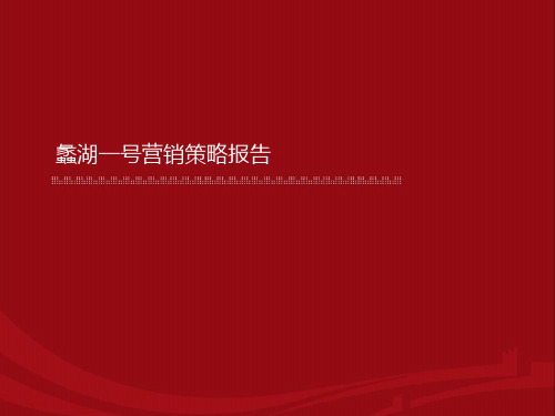 无锡蠡湖号12年营销策略报告