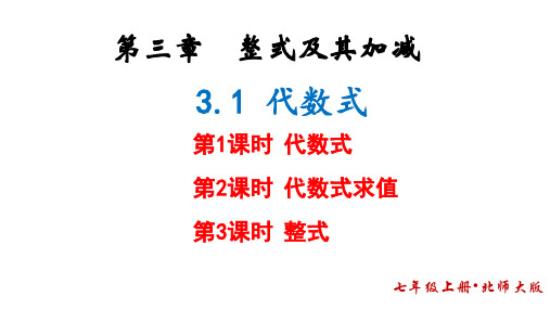 3.1+代数式++++课件+2024-2025学年北师大版(2024)七年级数学上册