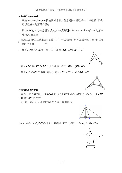 浙教版数学八年级上三角形初步培优复习提高讲义