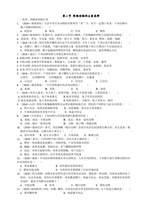 2019年中考生物真题分类：脊椎动物的主要类群