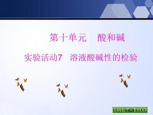 人教版九年级化学下册课件：第十单元实验活动7溶液酸碱性的检验 (共18张PPT)