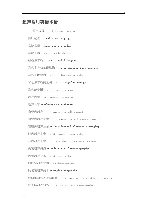 超声常用英语术语