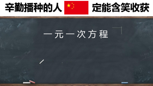 全国初中数学优质课一等奖精品课件--《一元一次方程》