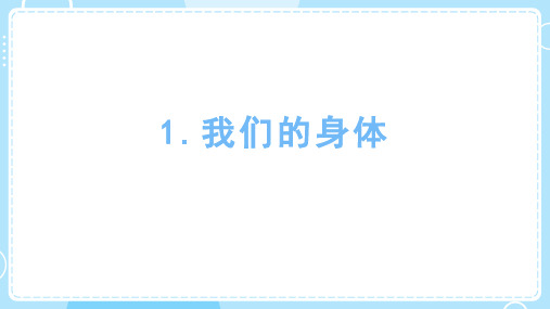 2.1 我们的身体 课件 教科版(2024)科学一年级上册