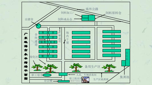 各大猪场平面设计图!!!课件