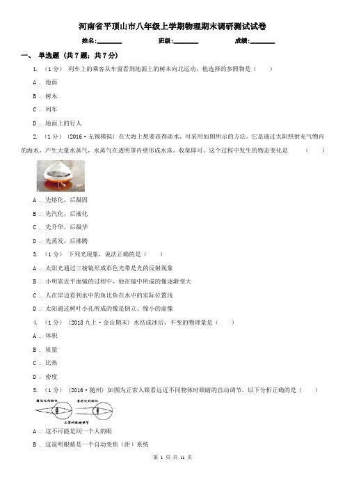河南省平顶山市八年级上学期物理期末调研测试试卷