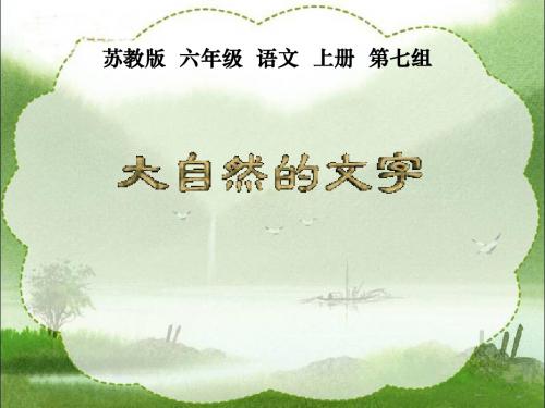 《大自然的文字》教学课件1