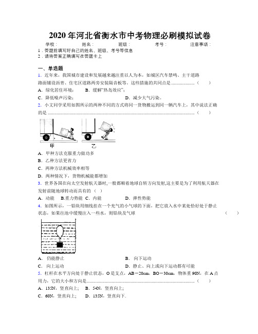 2020年河北省衡水市中考物理必刷模拟试卷附解析