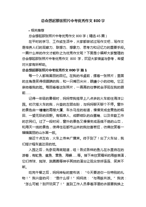 总会想起那张照片中考优秀作文800字