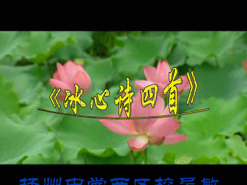 初中语文《冰心诗四首》(共27张)ppt12