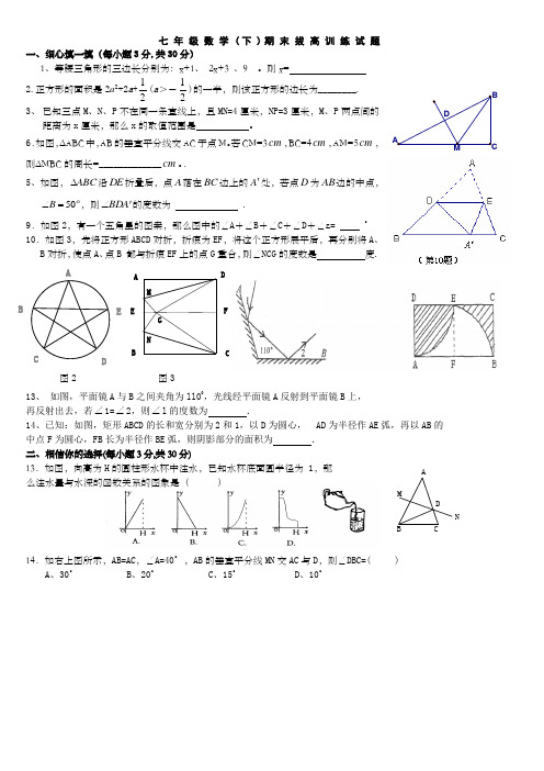 新北师大版七年级下数学期末拔高训练试题