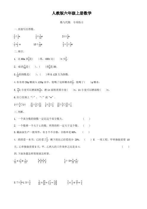 人教版六年级上册数学  数与代数   专项训练