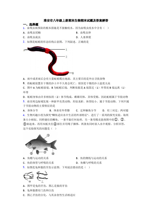 淮安市八年级上册期末生物期末试题及答案解答