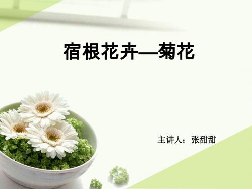 菊 课件