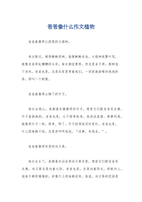 爸爸像什么作文植物