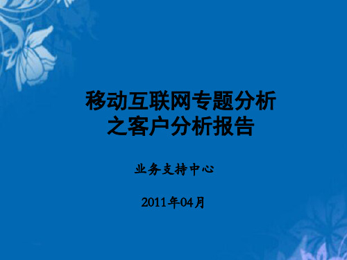 移动互联网客户分析报告(ppt 38页)
