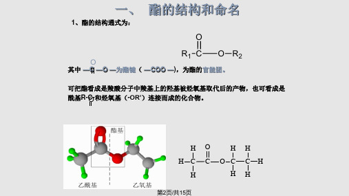 酯和油脂学习.pptx