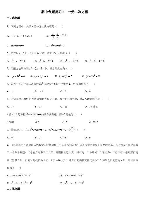 期中专题复习5：一元二次方程 -人教版九年级数学上册