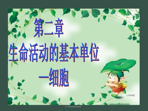 第二章生命的结构基础复习课件