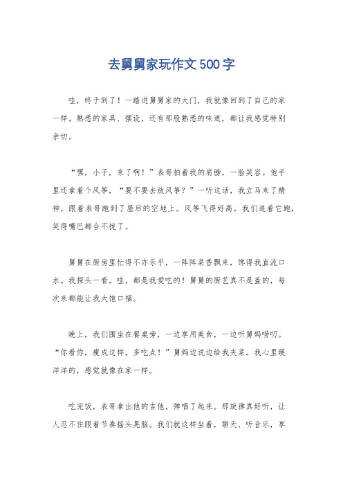 去舅舅家玩作文500字