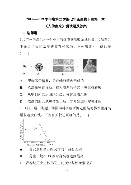 人教版生物下册2018--2019学年度第二学期第一章  《人的由来》测试题及答案