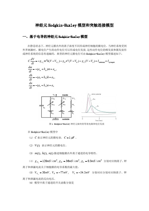 神经元Hodgkin-Huxley模型和突触连接模型