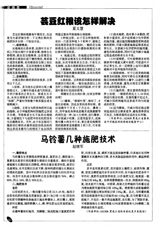 马铃薯几种施肥技术