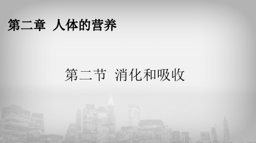 人教版初中生物七年级下册课件-4.2.2 消化和吸收43