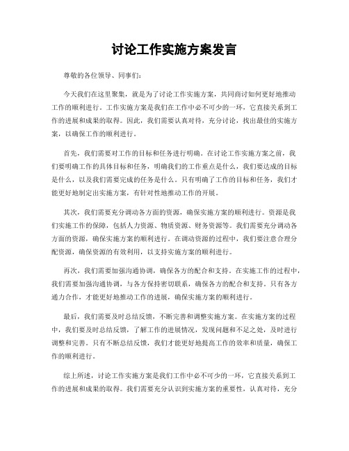 讨论工作实施方案发言