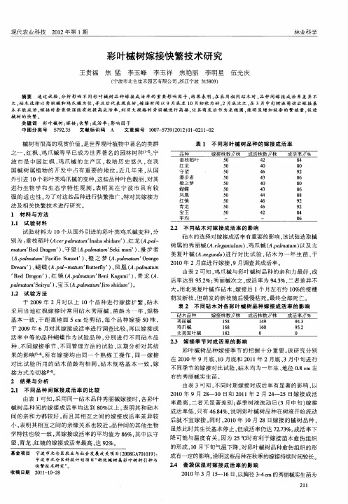 彩叶槭树嫁接快繁技术研究