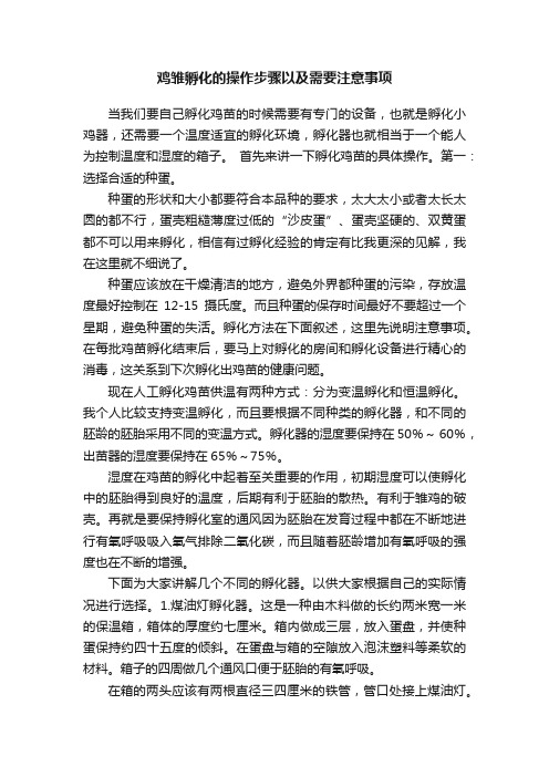 鸡雏孵化的操作步骤以及需要注意事项