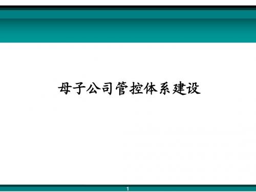 集团母子公司管控教案