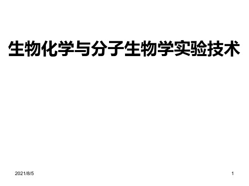 实例分析分子生物学技术的应用