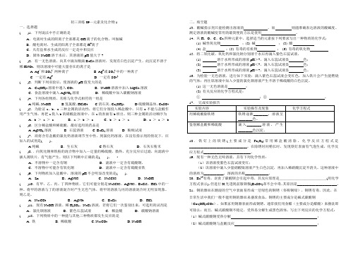 化学九年级人教版元素及化合物1