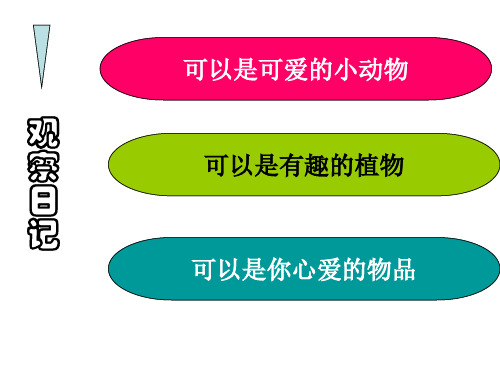 习作《观察日记》指导