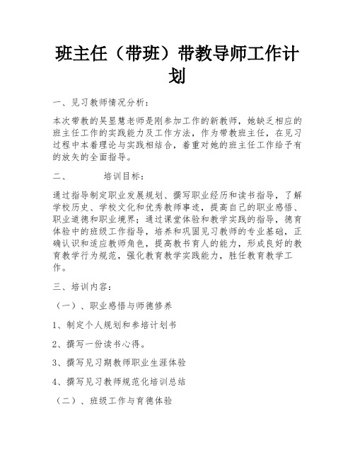 班主任(带班)带教导师工作计划