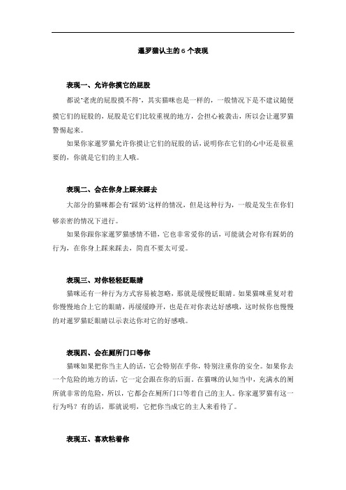 暹罗猫认主的6个表现