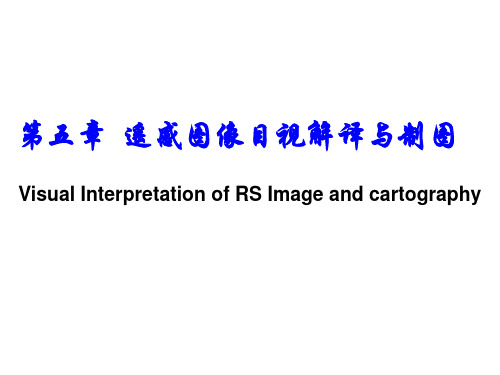 遥感图像的目视解译与制图