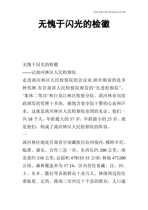 无愧于闪光的检徽