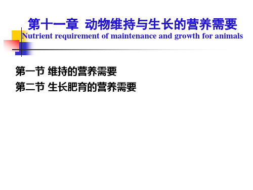 第十一章维持与生长的营养需要